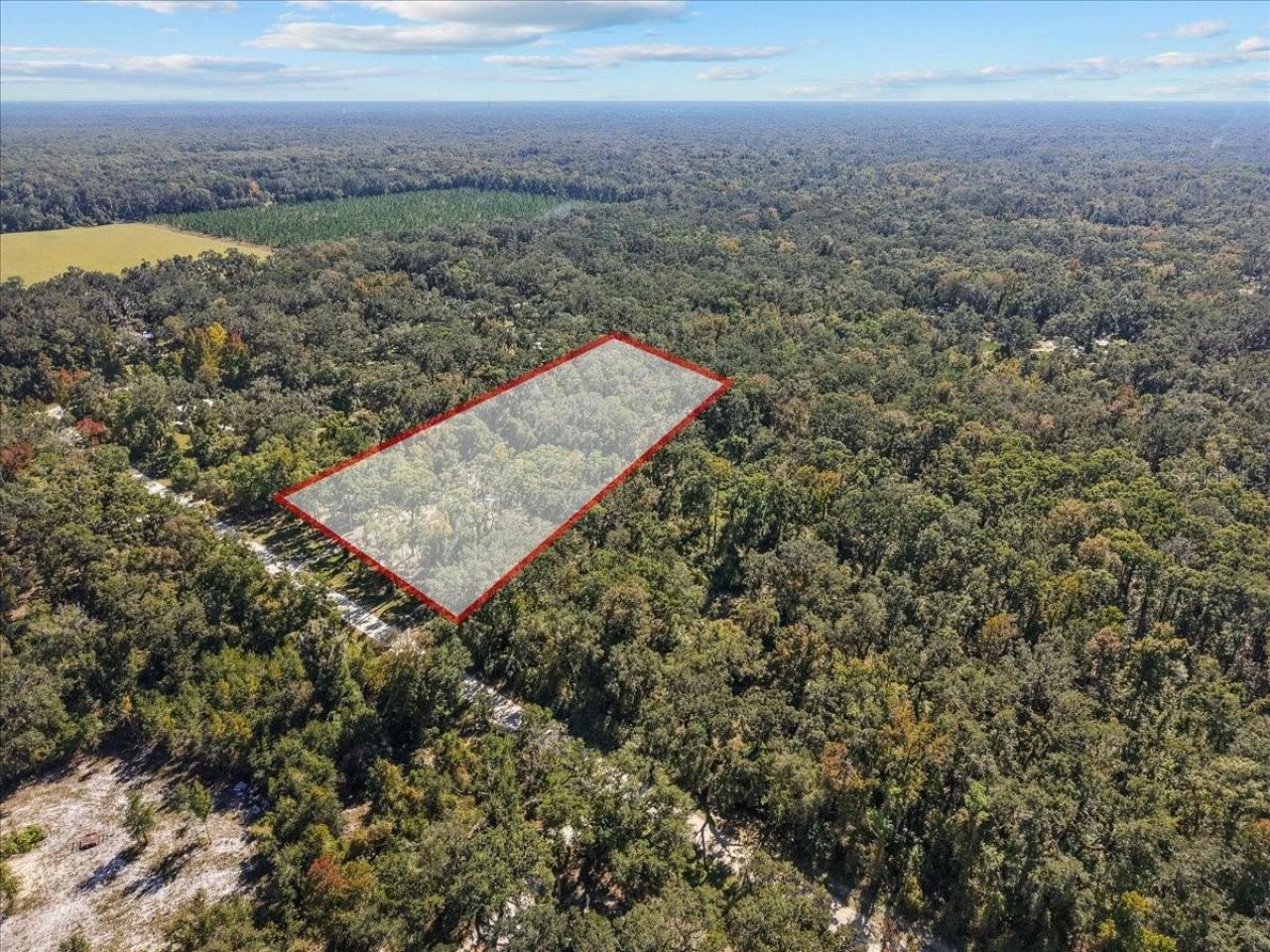 1566 NE 262nd Avenue, Old Town, FL 32680 Photo