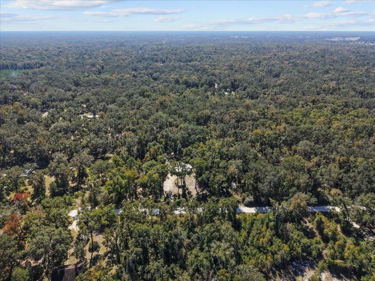 1566 NE 262nd Avenue, Old Town, FL 32680 Photo