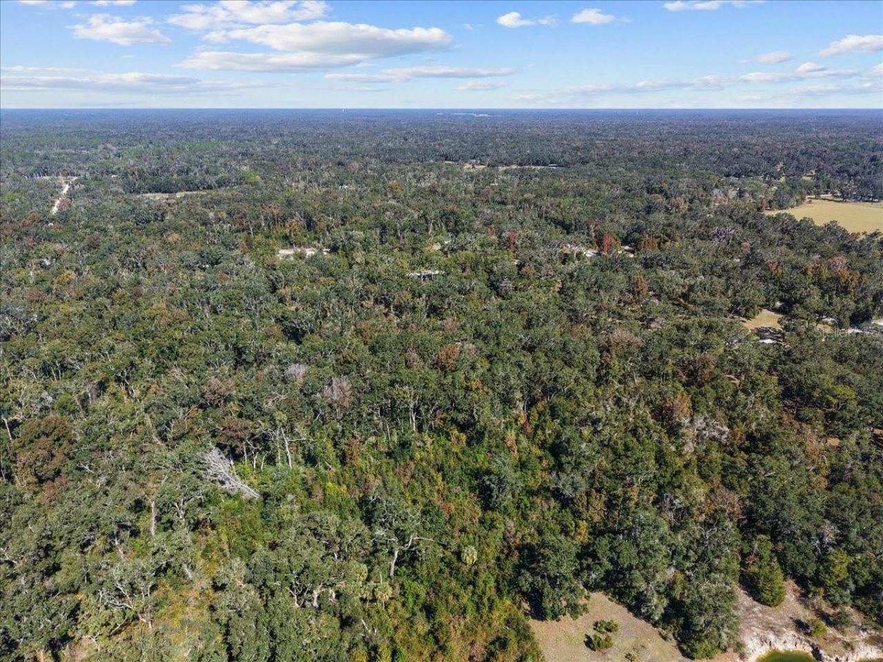 1566 NE 262nd Avenue, Old Town, FL 32680 Photo