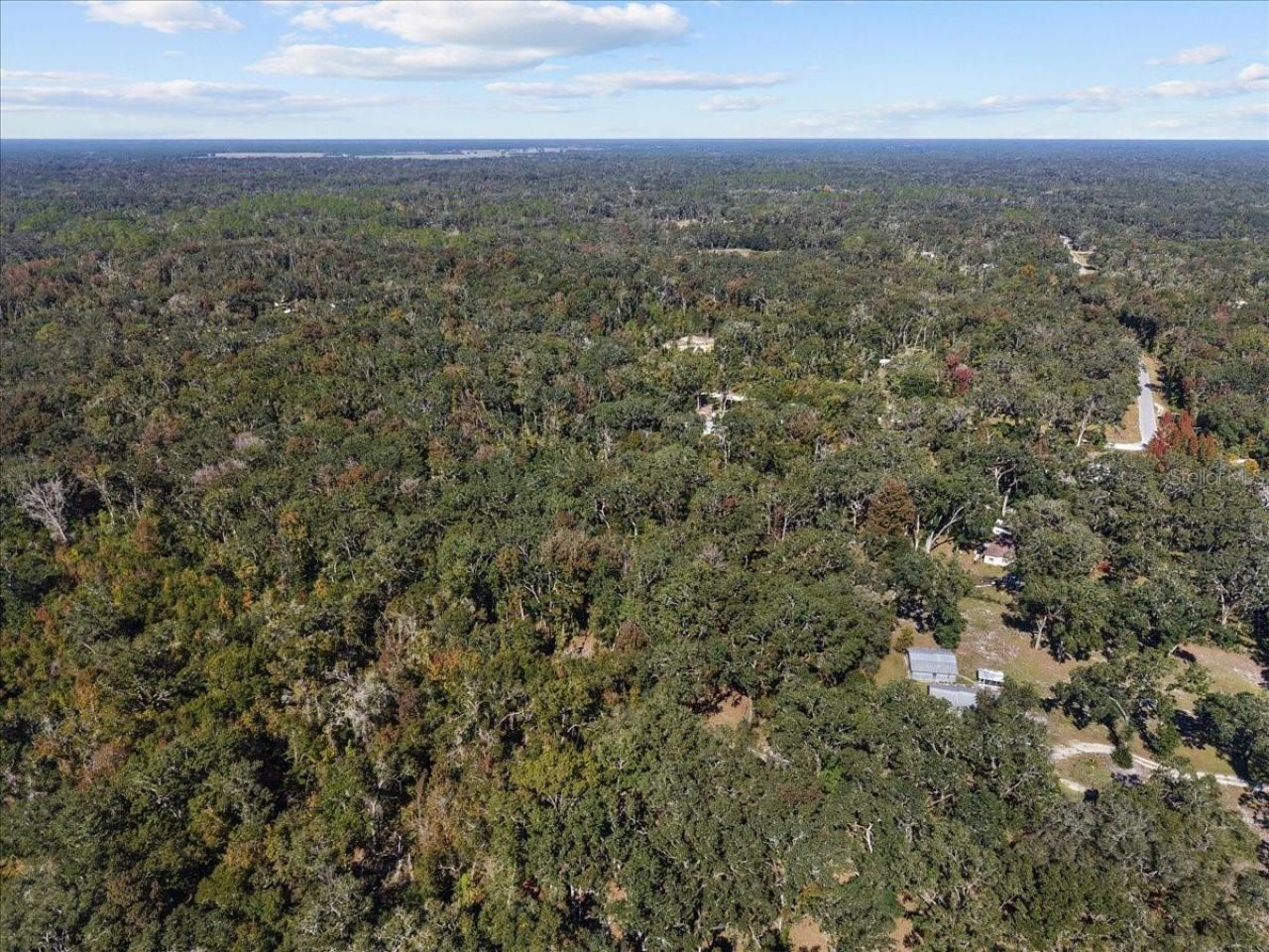 1566 NE 262nd Avenue, Old Town, FL 32680 Photo