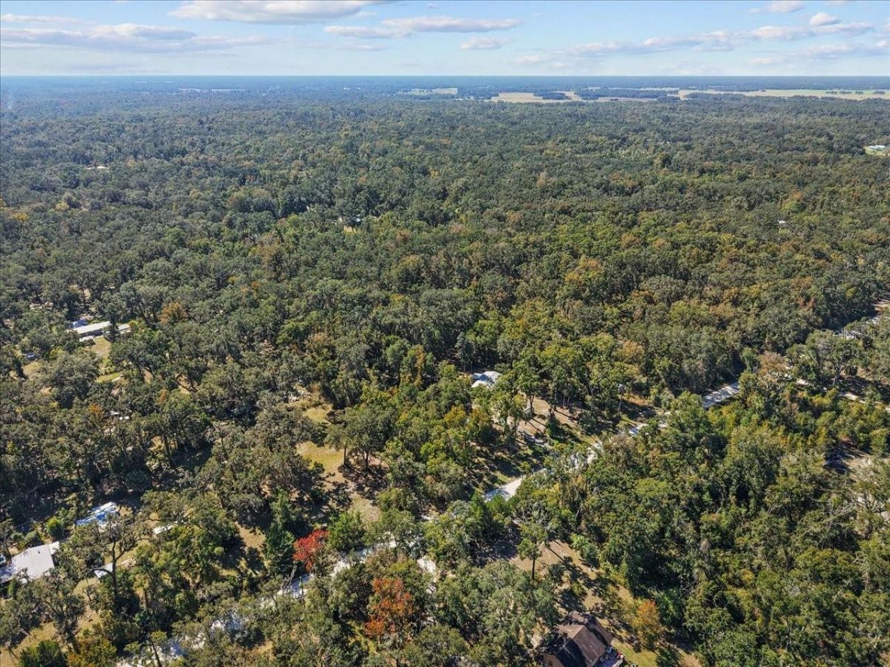 1566 NE 262nd Avenue, Old Town, FL 32680 Photo