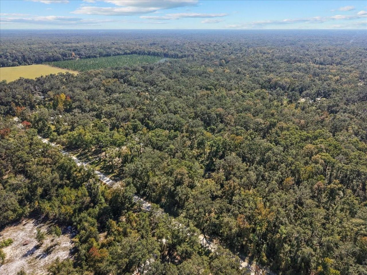 1566 NE 262nd Avenue, Old Town, FL 32680 Photo