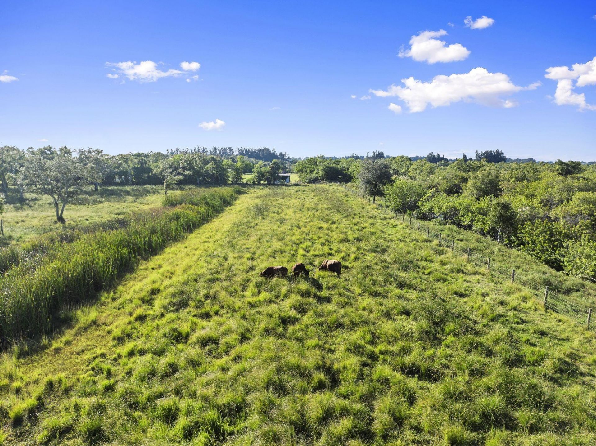 4044 Johnston Road, Fort Pierce, FL 34951 Photo