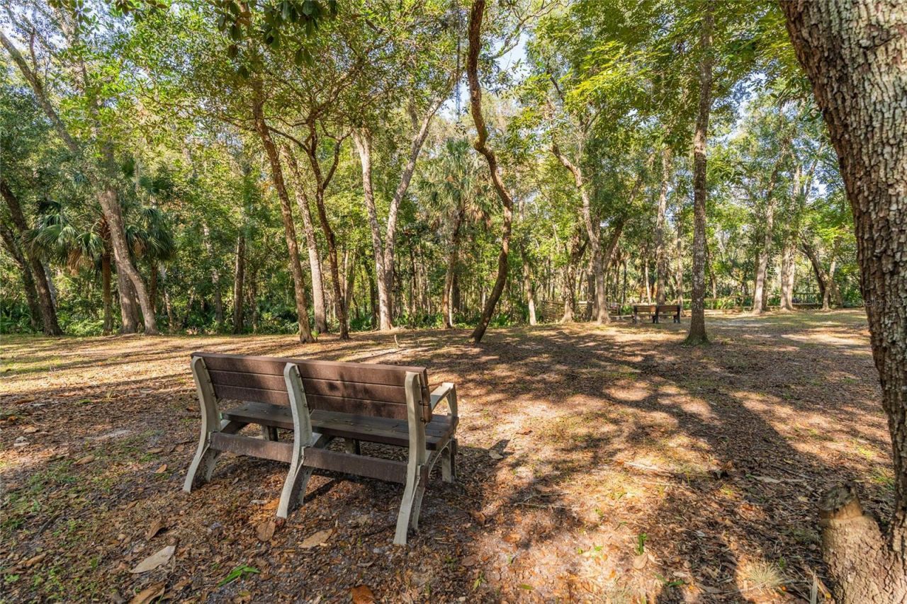 1985 Rutgers Place, Unit 1985, Port Orange, FL 32128 Photo