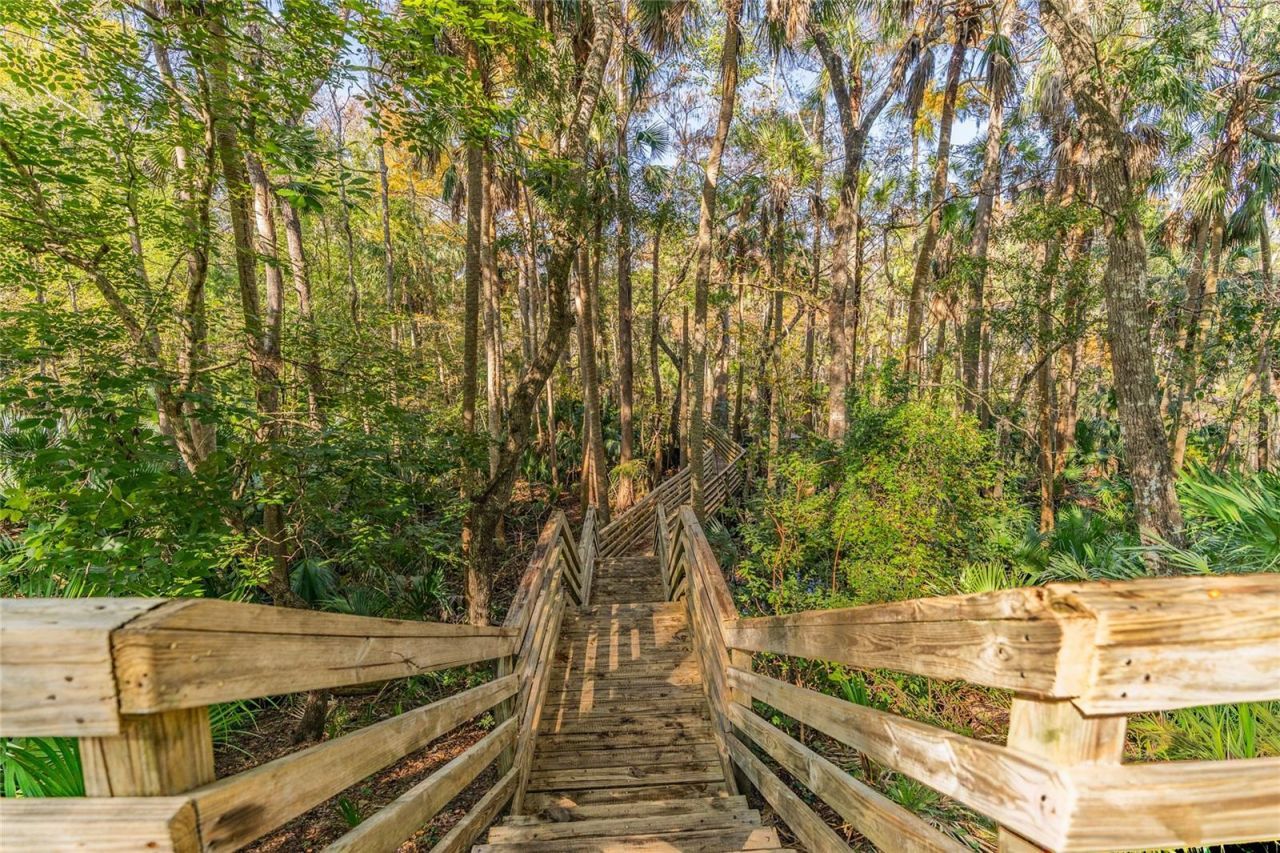 1985 Rutgers Place, Unit 1985, Port Orange, FL 32128 Photo