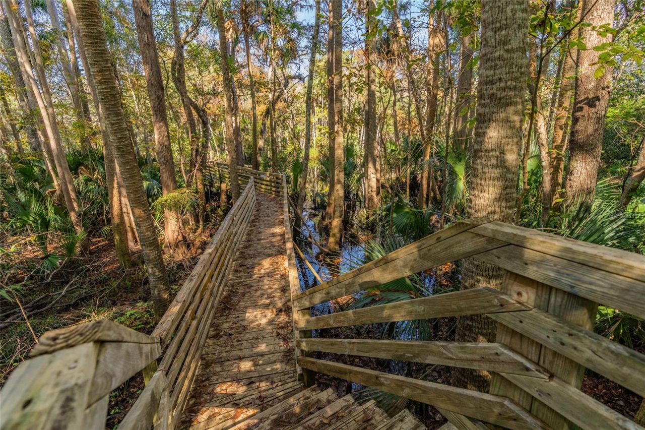 1985 Rutgers Place, Unit 1985, Port Orange, FL 32128 Photo