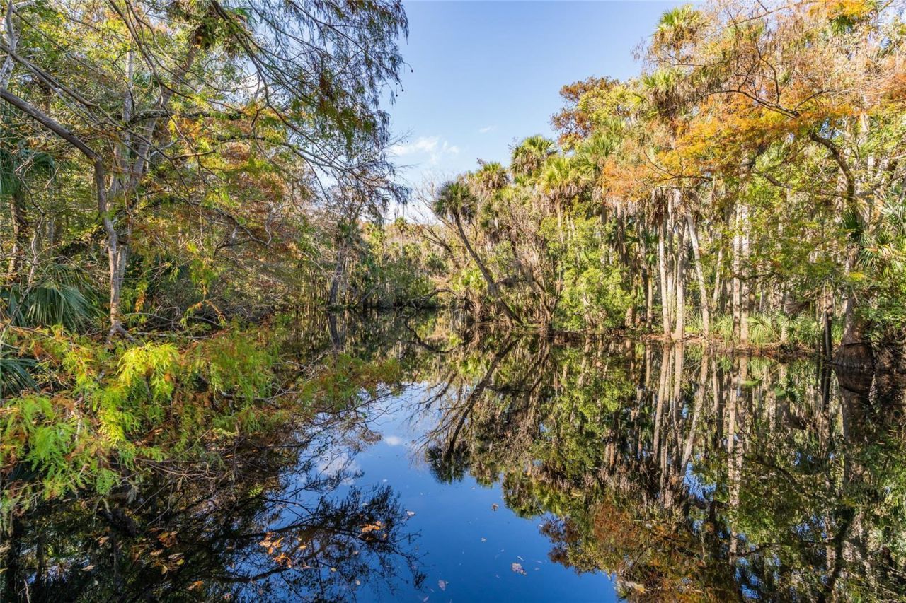 1985 Rutgers Place, Unit 1985, Port Orange, FL 32128 Photo