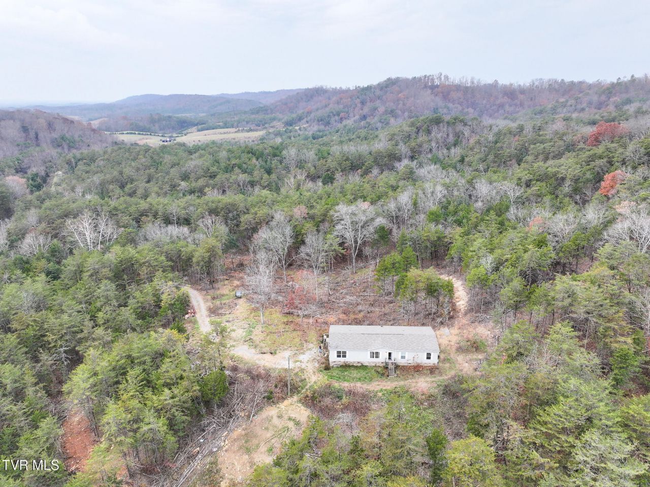 750 Tom White Hollow Road Road, Mohawk, TN 37810 Main Photo