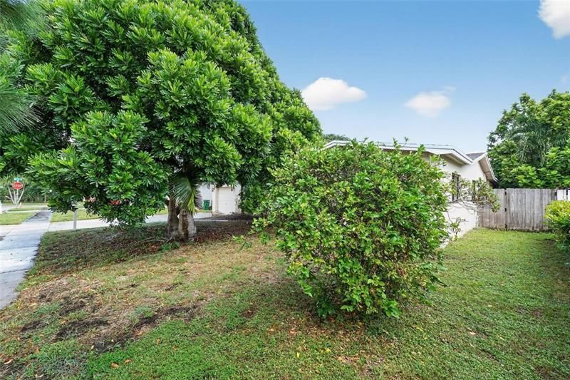 264 NW 79th Avenue, Margate, FL 33063 Photo