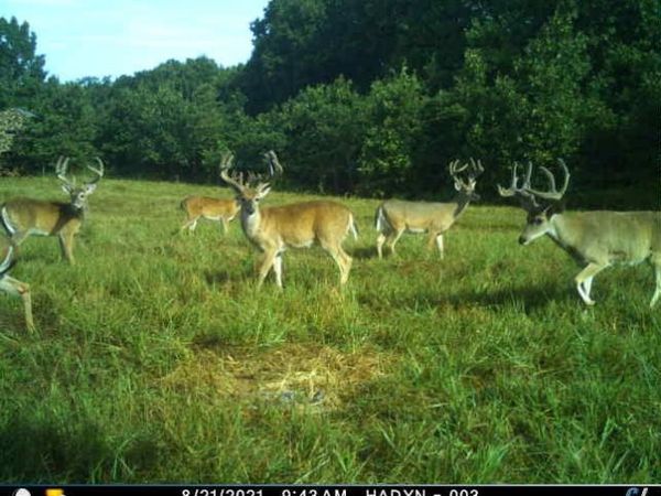 36293 S 565 Road , Jay, OK 74346