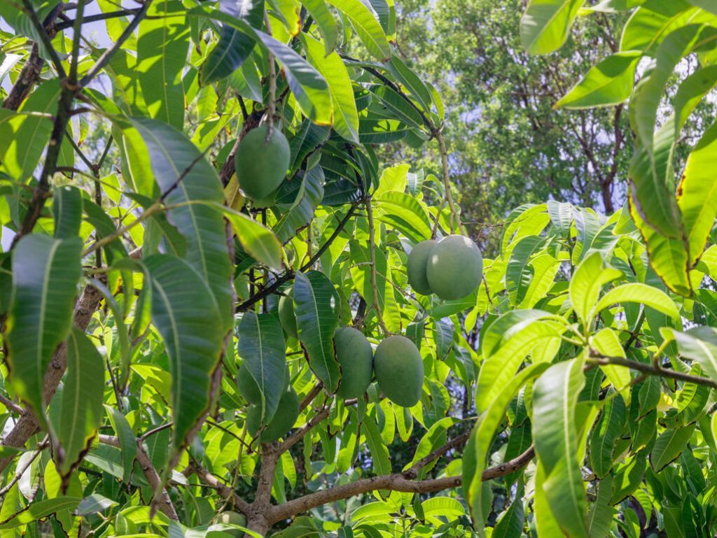 30416 Coconut Highway, Big Pine Key, FL 33043 Photo