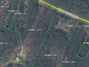 Bellingertown Road, Remsen, NY 13338