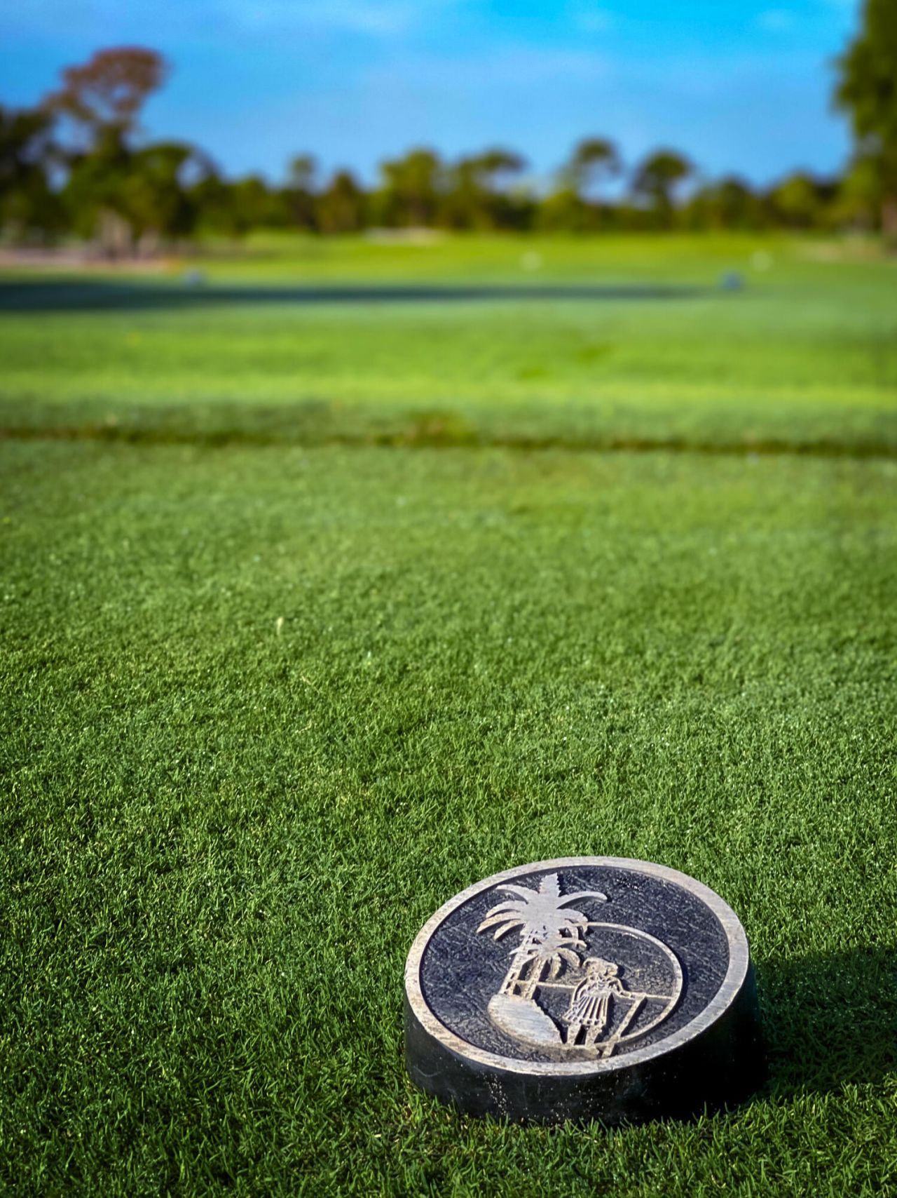 7982 SE Hempstead Circle, Hobe Sound, FL 33455 Photo