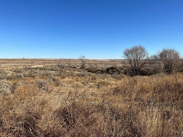 TBA Dunn Rd, Kiowa, CO 81007