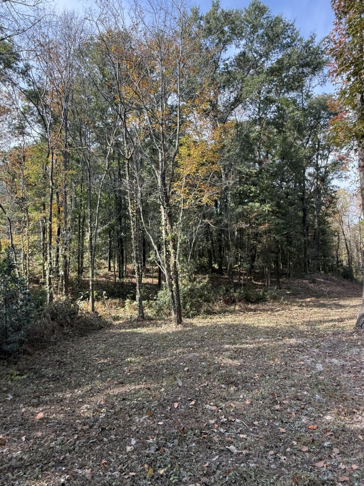 0 Yellow House Place Photo 11