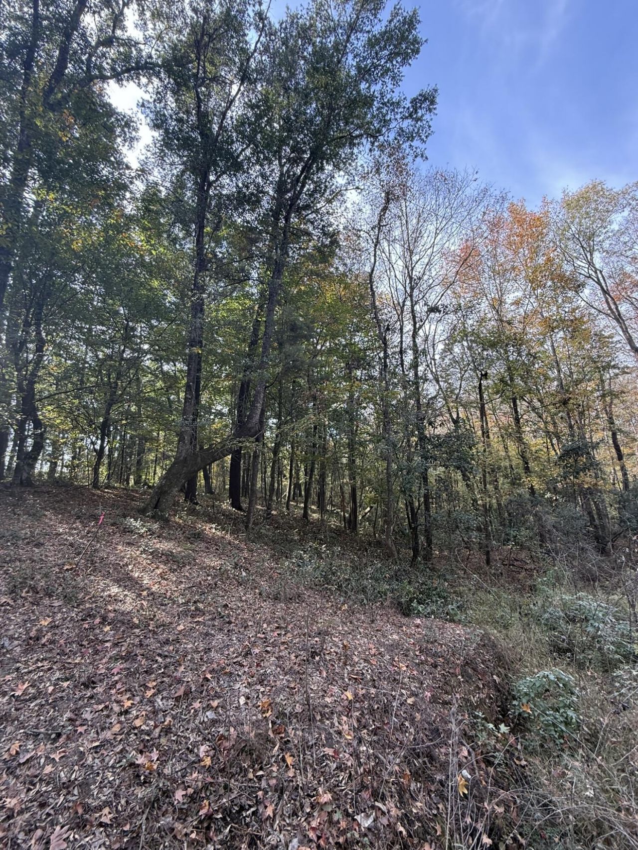 0 Yellow House Place Photo 12