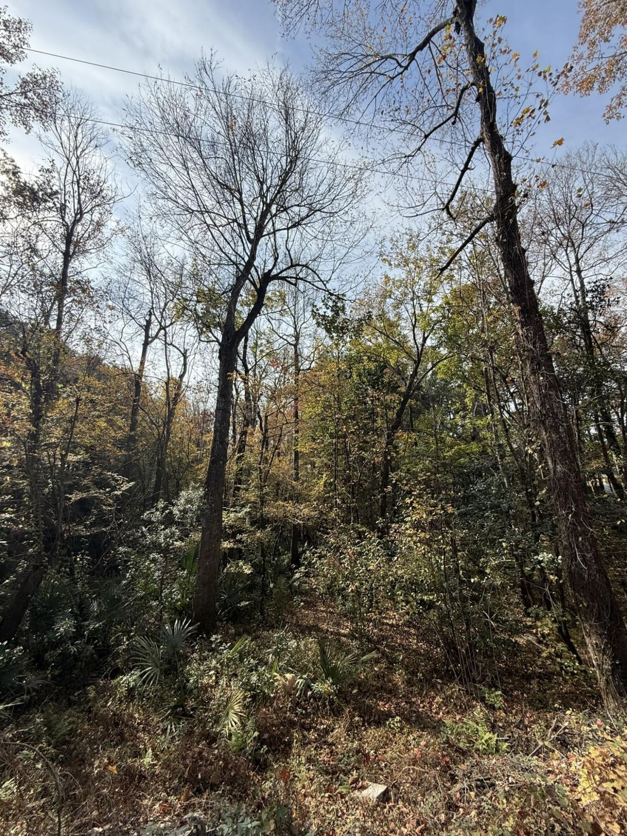 0 Yellow House Place Photo 16