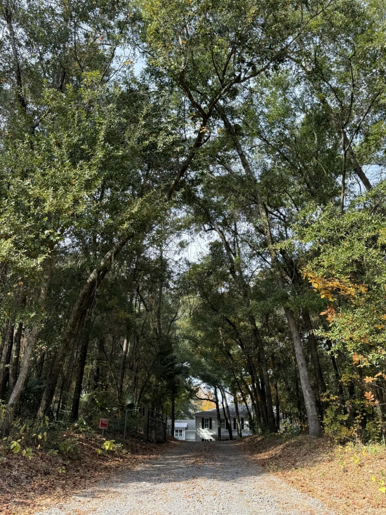 0 Yellow House Place Photo 20