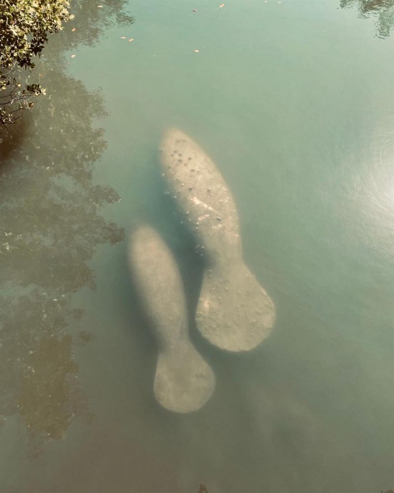 8767 Midnight Pass Road, Unit 403F, Sarasota, FL 34242 Photo