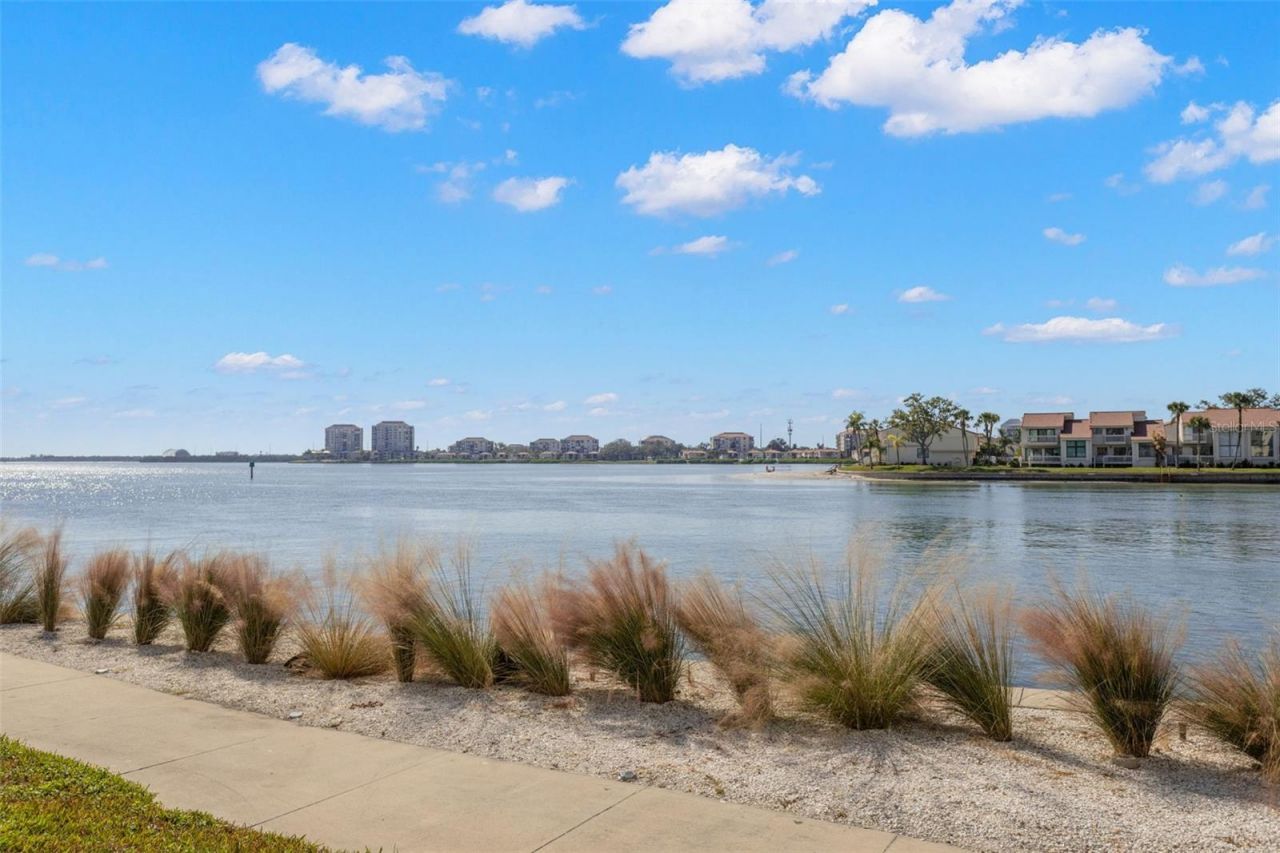 5220 Brittany Drive S, Unit 1003, Saint Petersburg, FL 33715 Photo