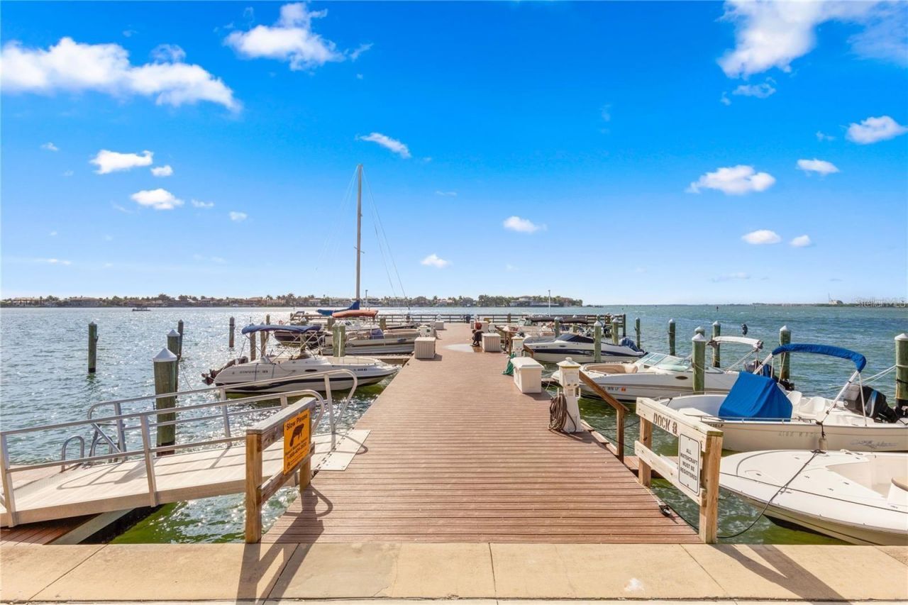 5220 Brittany Drive S, Unit 1003, Saint Petersburg, FL 33715 Photo