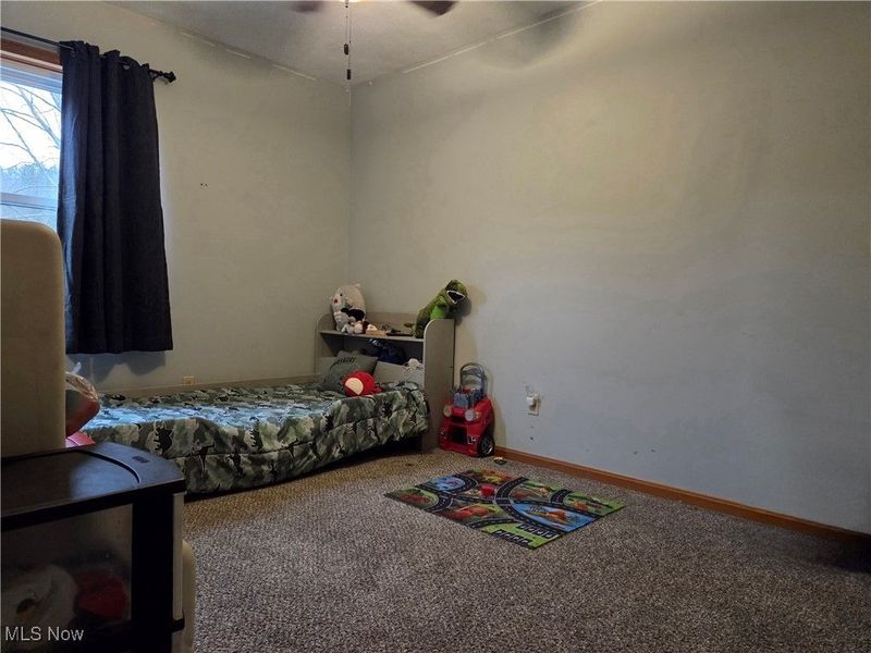 1100 Fawn Road SW, Dellroy, OH 44620 Photo 32