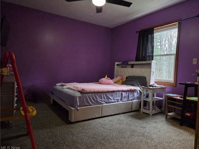 1100 Fawn Road SW, Dellroy, OH 44620 Photo 33