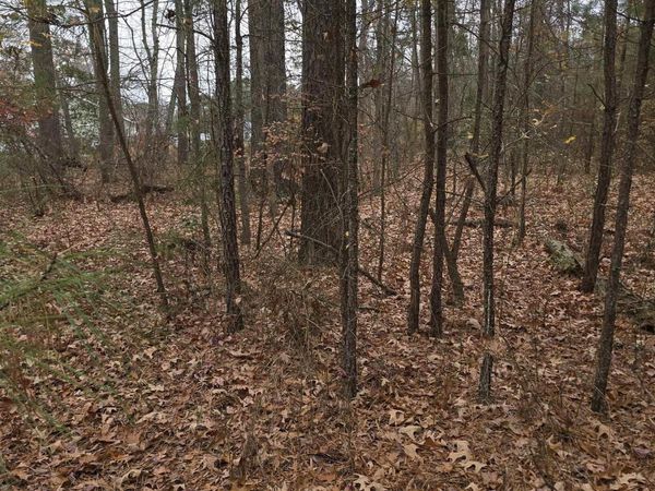 19 EVERGREEN DR, Colonial Beach, VA 22443