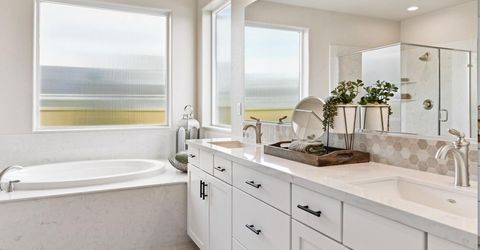 1620 Delta Downs Drive, Unit Lot 67, Minden, NV 89423 Photo