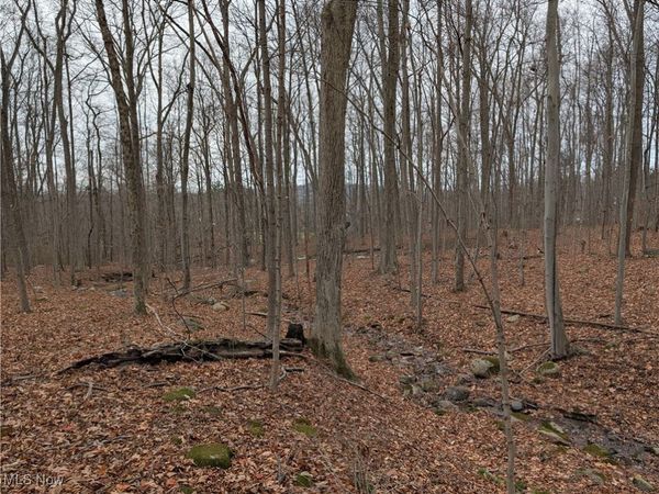 Thwing Road, Chardon, OH 44024