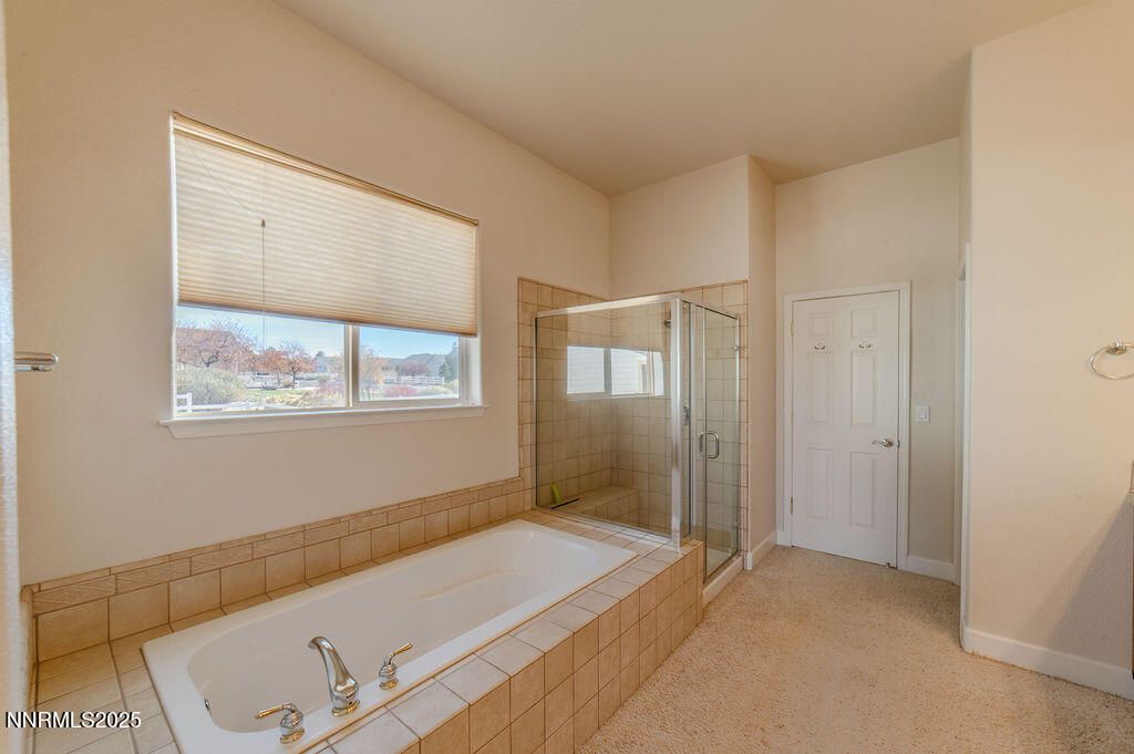 1604 Chiquita Street, Minden, NV 89423 Photo