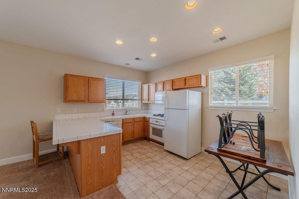 1604 Chiquita Street, Minden, NV 89423 Photo