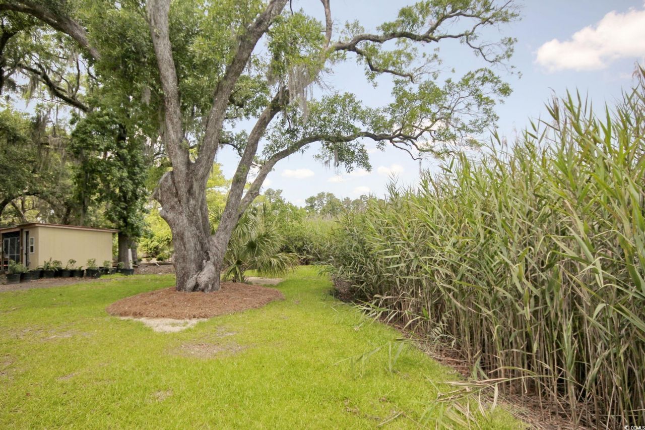 610 Bayview Dr. Photo 16