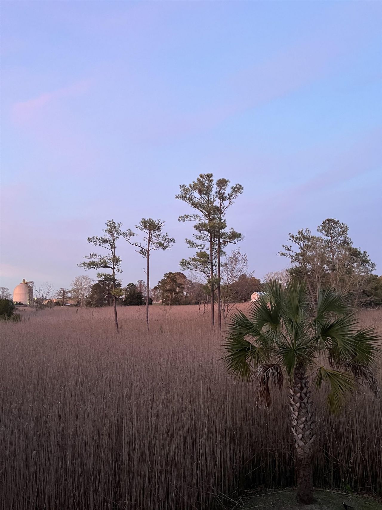 610 Bayview Dr. Photo 39