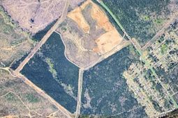 1236 Crane Church Road  photo 4