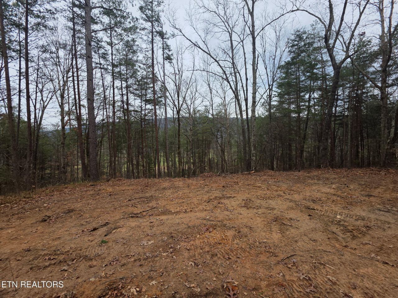Lot 4 Parksville Road, Benton, TN 37307 Main Photo