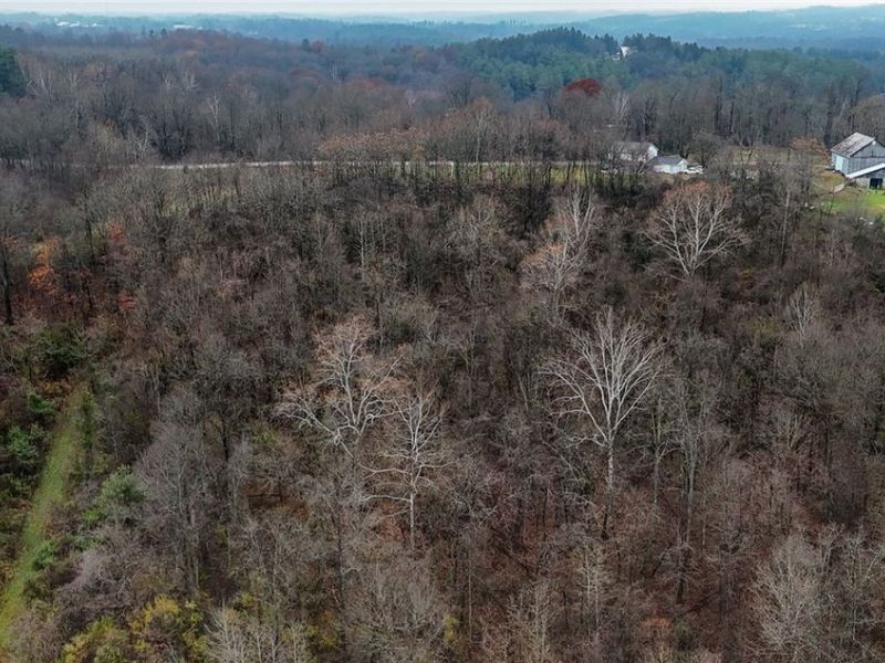 435 Croston Road, Chesterhill, OH 43787 Photo 36