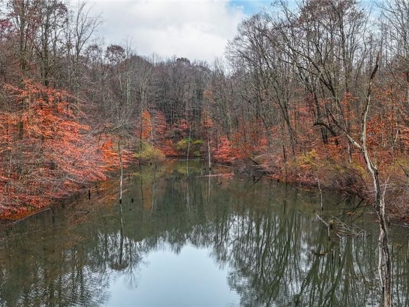 435 Croston Road, Chesterhill, OH 43787 Photo 39