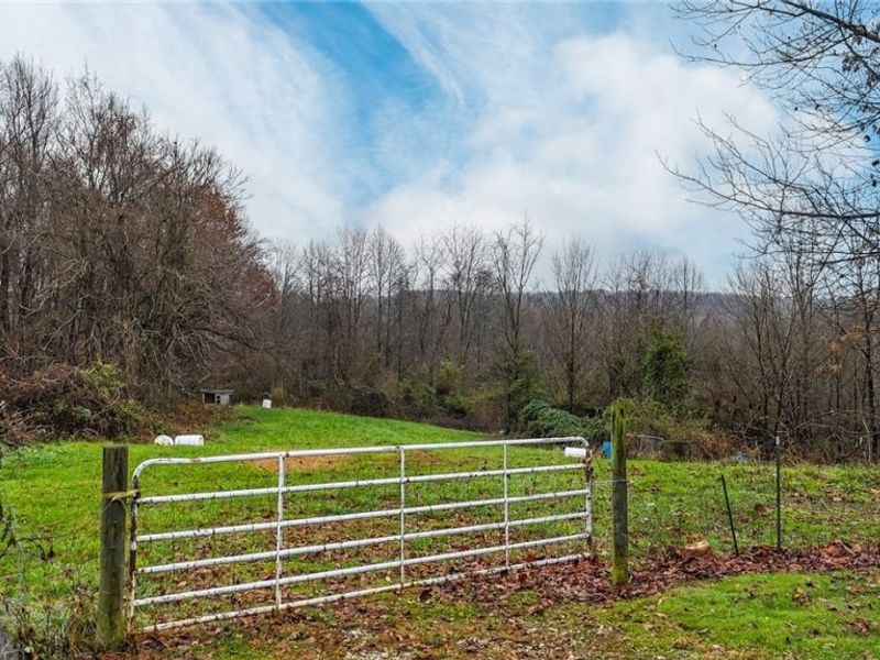 435 Croston Road, Chesterhill, OH 43787 Photo 43
