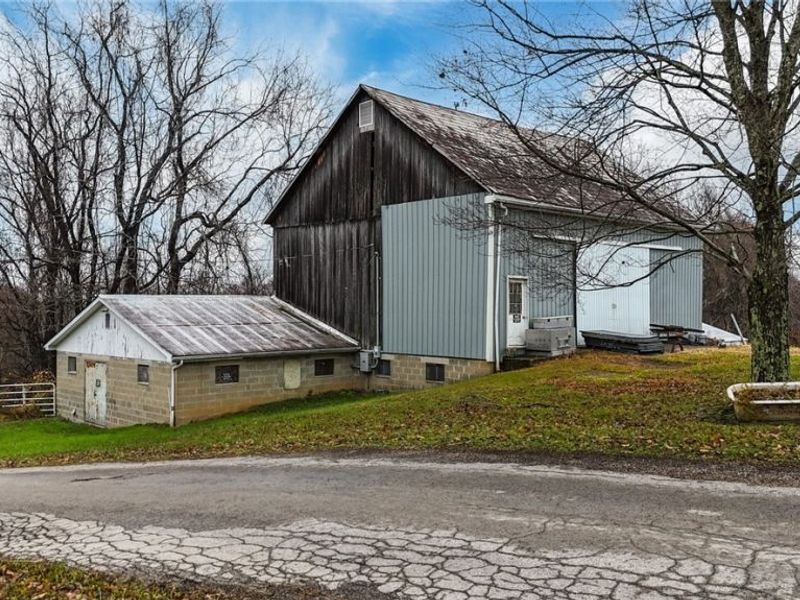 435 Croston Road, Chesterhill, OH 43787 Photo 7