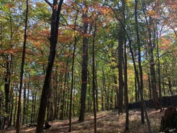 2613 LOOKOUT ROAD, HAYMARKET, VA 20169