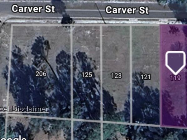 119 CARVER STREET, PALATKA, FL 32177