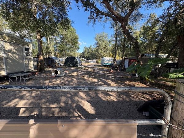 TBD NE 132ND ST, SALT SPRINGS, FL 32134