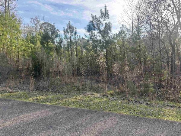 0 SHILOH FALLS COURT RD, Counce, TN 38372