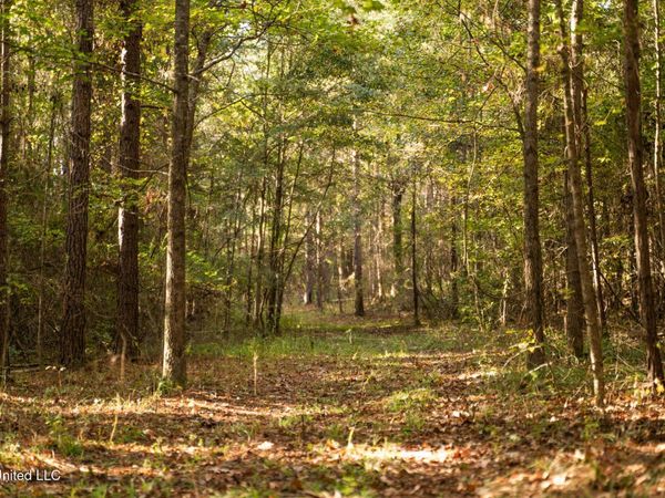 Lake View Golf Course Road, Meridian, MS 39301