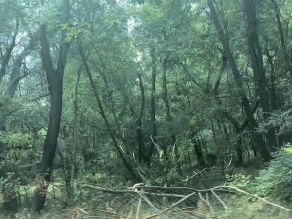 No Address Imperial DR, Austin, TX 78725