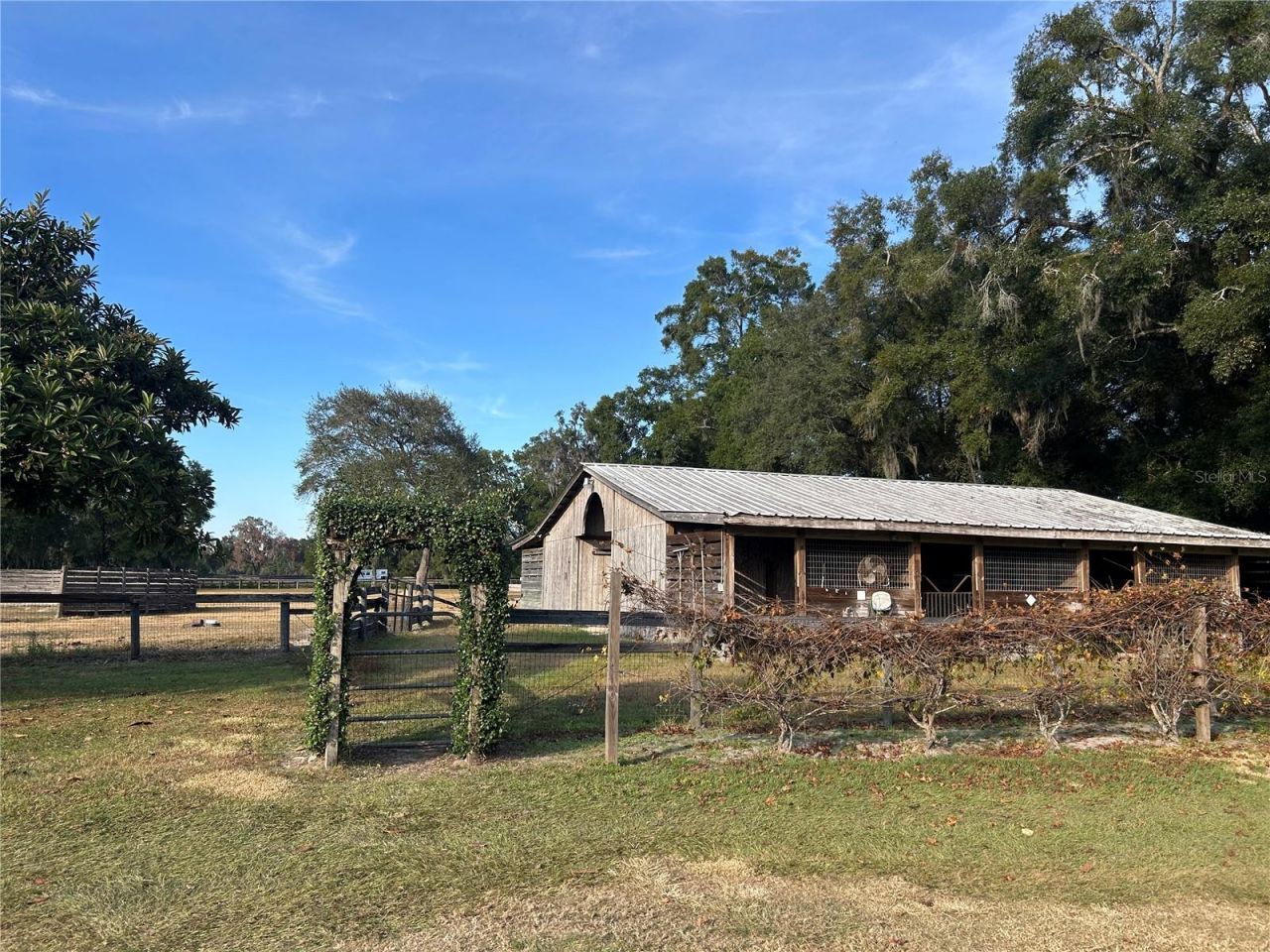 14525 NW Highway 464b, Morriston, FL 32668 Photo