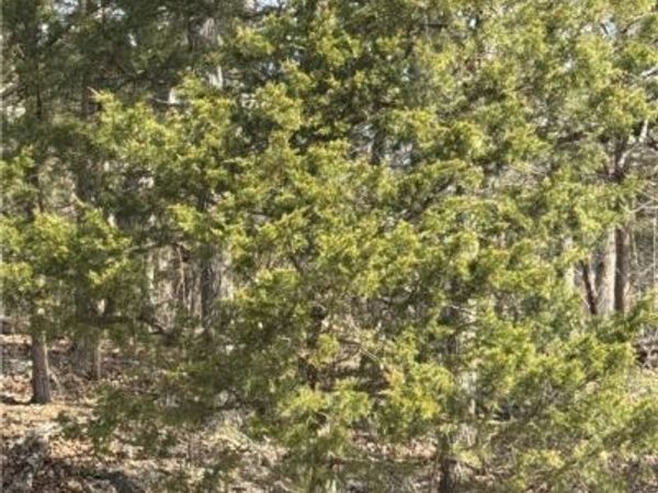 TBD Cambridge Dr., Four Seasons, MO 65049