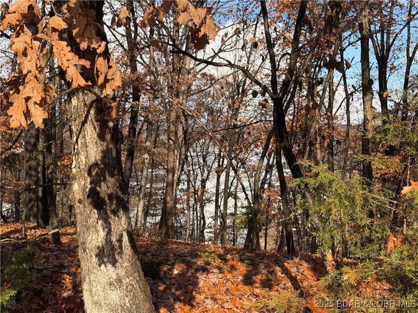 Lot 46 Carol Road , Four Seasons, MO 65049