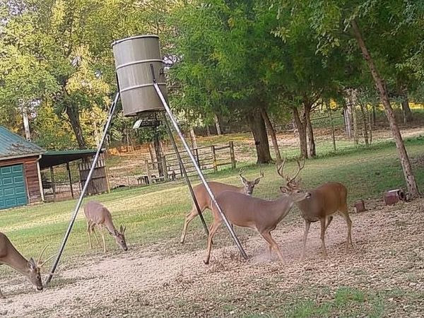 435562 E 1630th Road, Tuskahoma, OK 74574